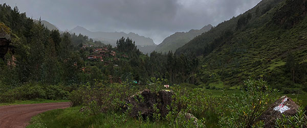 Cuzco Birding Route