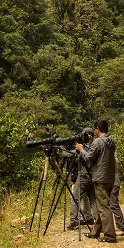 Birds Photography Manu Road