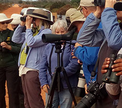 birding tours